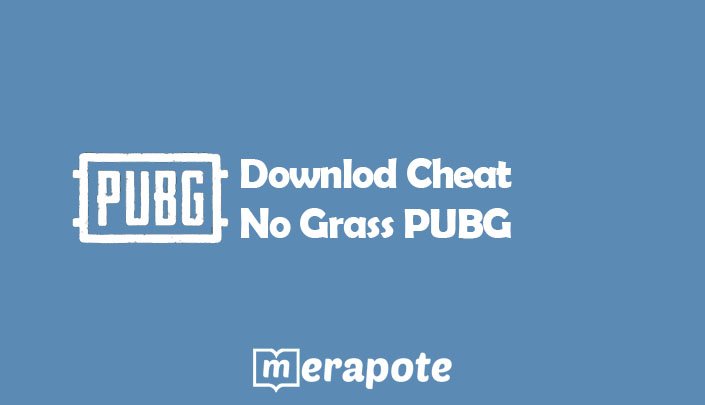 Cheat No Grass PUBG