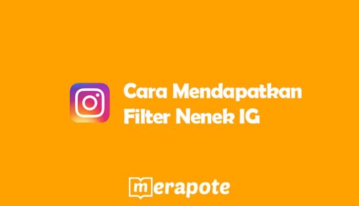 Filter Nenek IG