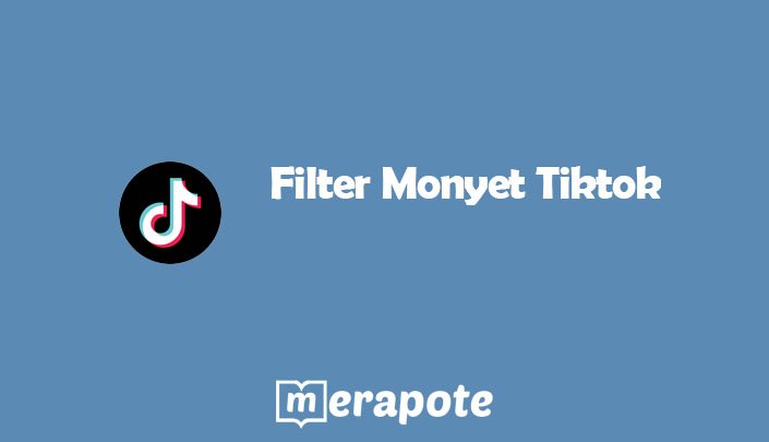 Filter Monyet Tiktok