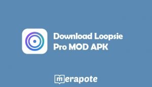 Download Loopsie Pro MOD APK V 5.1.9 Terbaru 2022 Gratis  Merapote