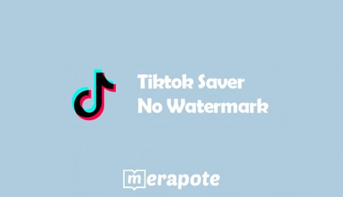 Tiktok Saver No Watermark
