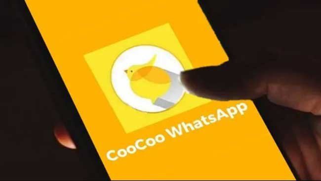 Informasi Terkait CooCoo WhatsApp