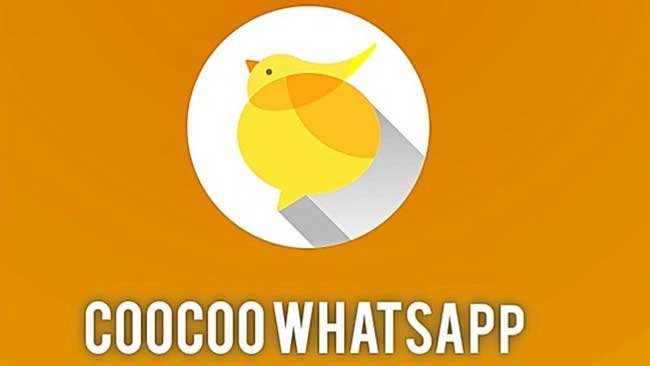Fitur-fitur Unggulan pada CooCoo WhatsApp Apk